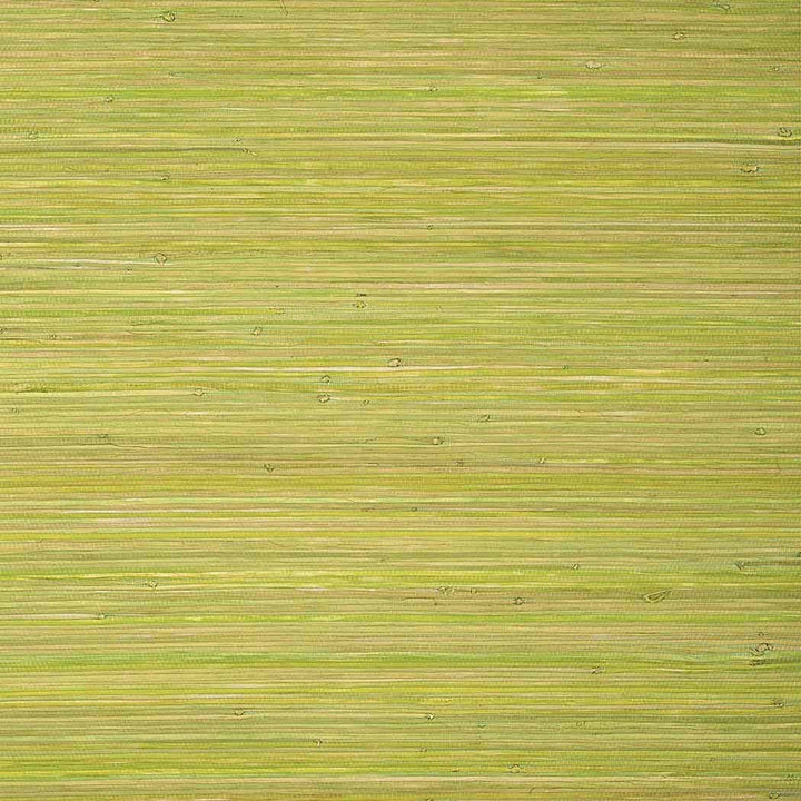 Raffia Palm-Behang-Tapete-Thibaut-Apple Green-Rol-T24070-Selected Wallpapers