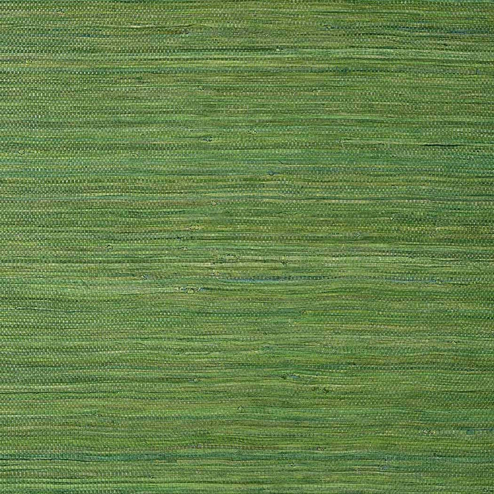Raffia Palm-Behang-Tapete-Thibaut-Emerald Green-Rol-T24074-Selected Wallpapers