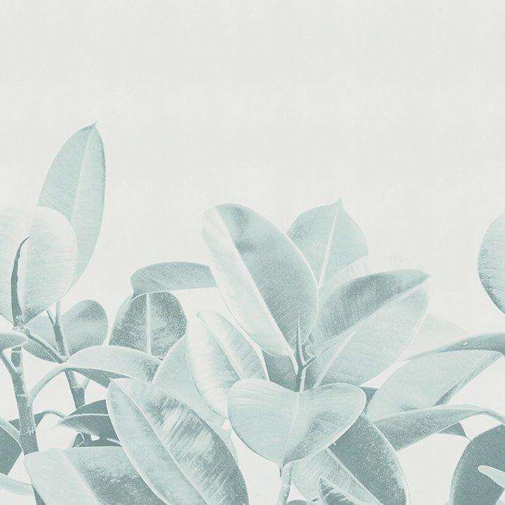 Rubber Plant-behang-Tapete-LondonArt-03-RAW-S120-18056 03-Selected Wallpapers