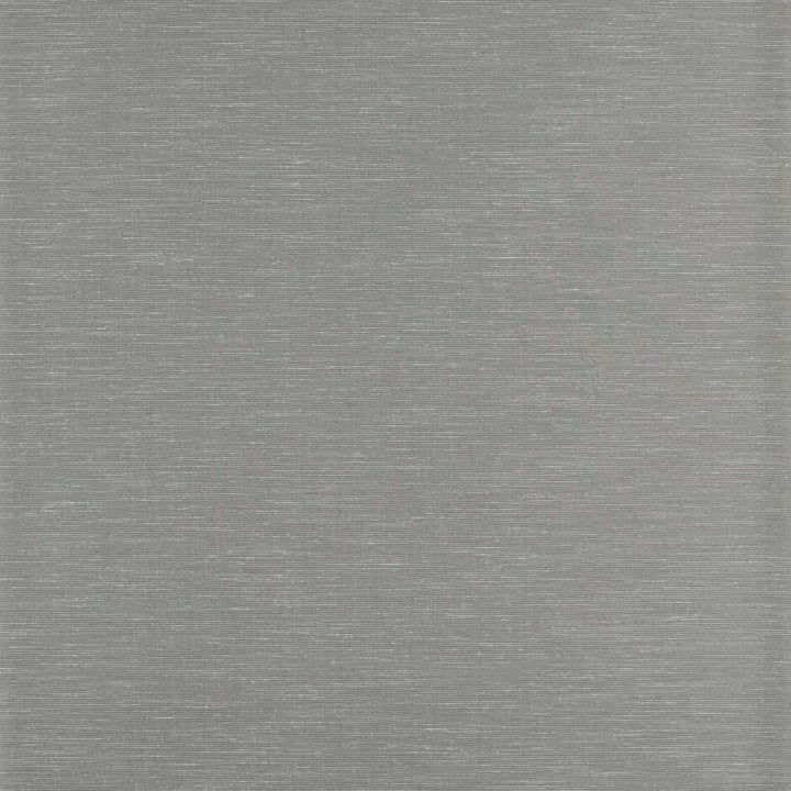 Rushes-behang-Tapete-Zoffany-Silver Birch-Meter (M1)-312493-Selected Wallpapers