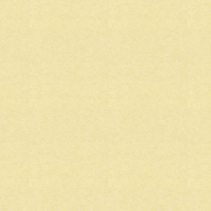 Silky Reloaded-behang-Tapete-Carlucci-74-Rol-CA8178/074-Selected Wallpapers