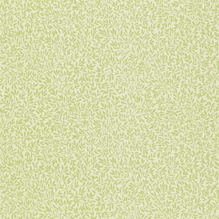 Standen-behang-Tapete-Morris & Co-Fennel-Rol-210469-Selected Wallpapers