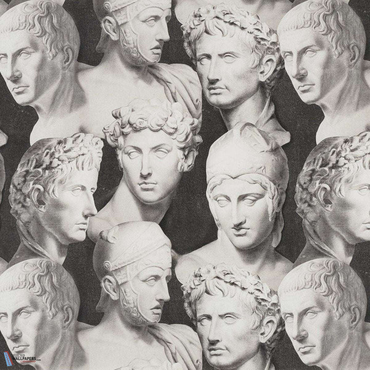 Stoned Romans-Behang-Tapete-Pierre Frey-Fusain-Meter (M1)-FP799002-Selected Wallpapers