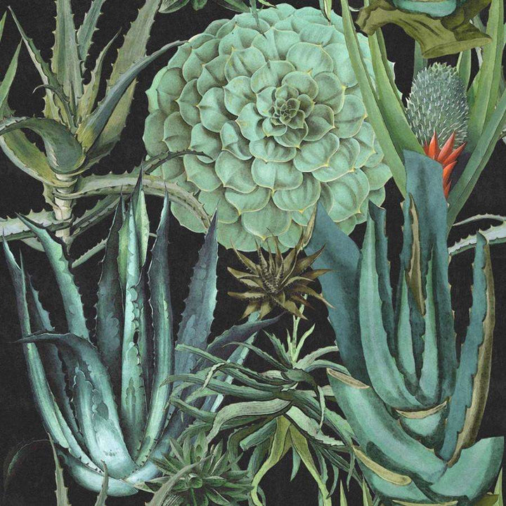 Succulentus-behang-Tapete-Mind the Gap-Anthracite-300 cm (standaard)-WP20167-Selected Wallpapers