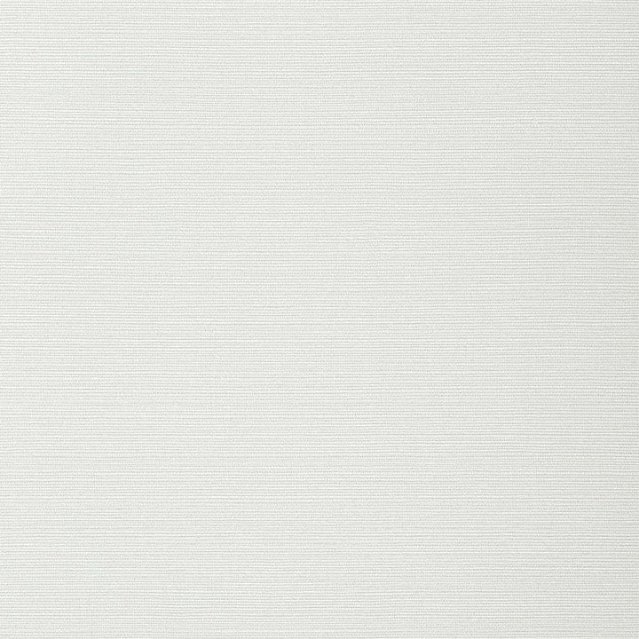 Taluk Sisal-Behang-Tapete-Thibaut-Snow-Rol-T282-Selected Wallpapers