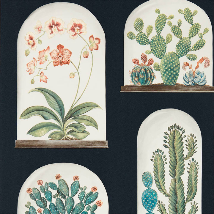 Terrariums-behang-Tapete-Sanderson-Ink/Multi-Rol-216658-Selected Wallpapers