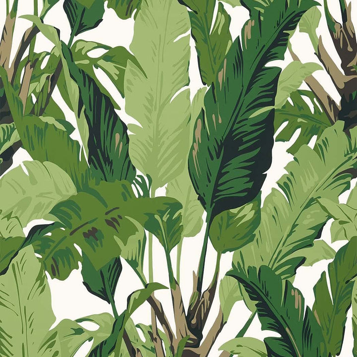 Travelers Palm-Behang-Tapete-Thibaut-Green-Rol-T10127-Selected Wallpapers