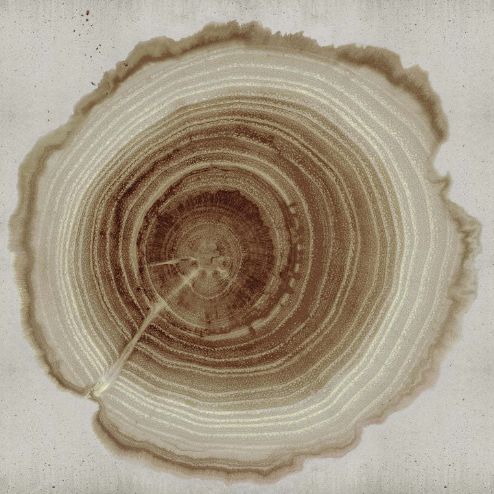 Tree of Life-Behang-Wall & Deco-02-CWC-WDEE2102-Selected Wallpapers