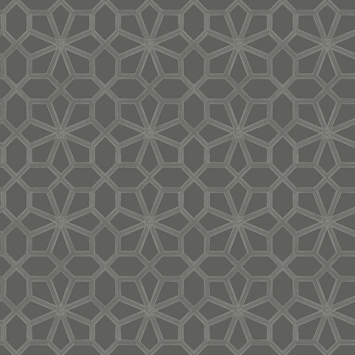Wolsey Stars-behang-Tapete-Cole & Son-Chalk on Charcoal-Rol-118/16037-Selected Wallpapers