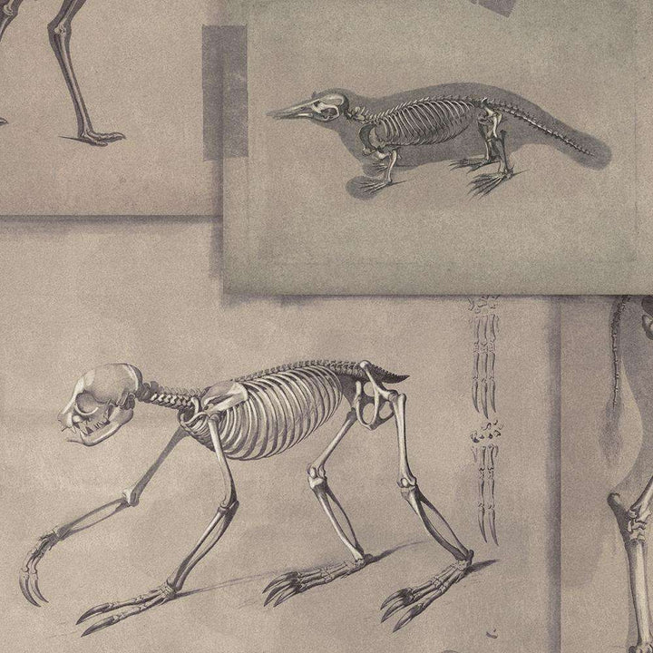Zoo Archaeology-behang-Tapete-Mind the Gap-Bruin/Grijs-300 cm (standaard)-WP20236-Selected Wallpapers