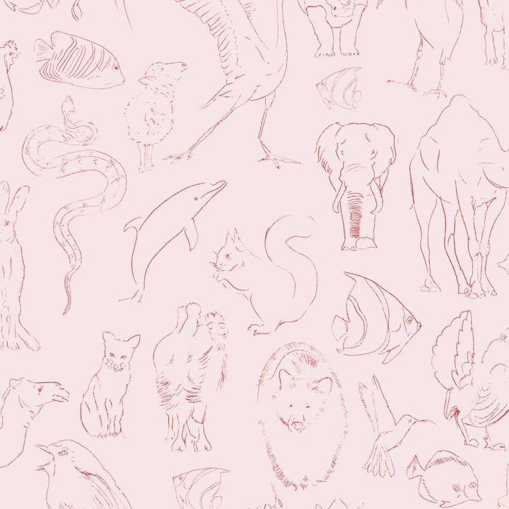 Zoology-behang-Tapete-Coordonne-Candy-Rol-9700181-Selected Wallpapers
